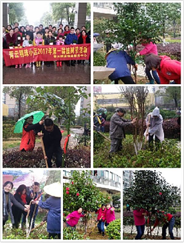 播一片綠林，種一份愛(ài)心